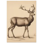 64b5510d-8f4f-4d6e-a6c8-71872fc08745