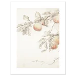 6587c590-6e29-4fbd-9269-0fc7ec3d588c