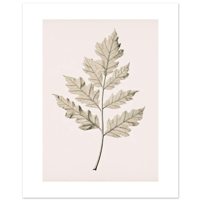 65932601-093c-4d0a-95a4-962dd63d3afe