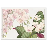 659eaca1-ffae-47f9-94a3-6fa9672bc89e