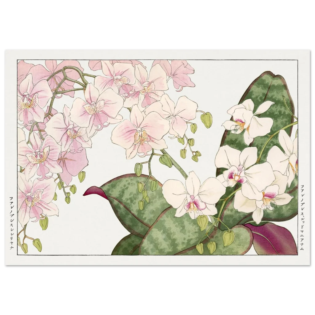 659eaca1-ffae-47f9-94a3-6fa9672bc89e.webp 659eaca1-ffae-47f9-94a3-6fa9672bc89e