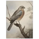 6684c77a-e93a-4dc0-9f13-c8c5c9c8f226