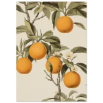 6692f2eb-84ff-4e1d-bcc2-f6c8829dd496