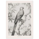 6703a57e-82ba-4ae3-963c-b6f49d319169