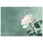 67ed2b7a-56ea-4781-a502-0ba35bd01f79