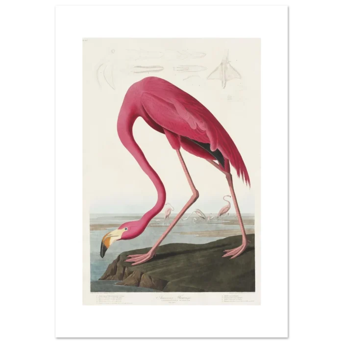 69b23211-8637-40a6-b2ae-411956b8583e