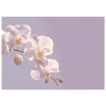 6a4146eb-d8f0-45ee-b2ff-d46146761f0c