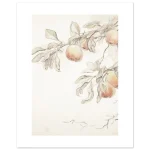 6a6f18f0-47ba-4c6c-a033-8aa5422d24fe