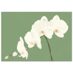 6a70c5af-236e-4247-8f57-b3f9125d446c