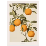 6b75dc24-65b5-4709-bb6f-eb1ff186ab3d