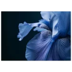 6c402158-6888-4347-91dc-f424998bd814