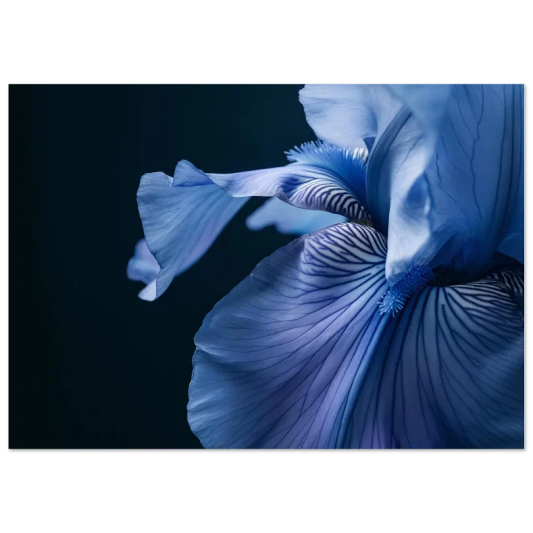 6c402158-6888-4347-91dc-f424998bd814