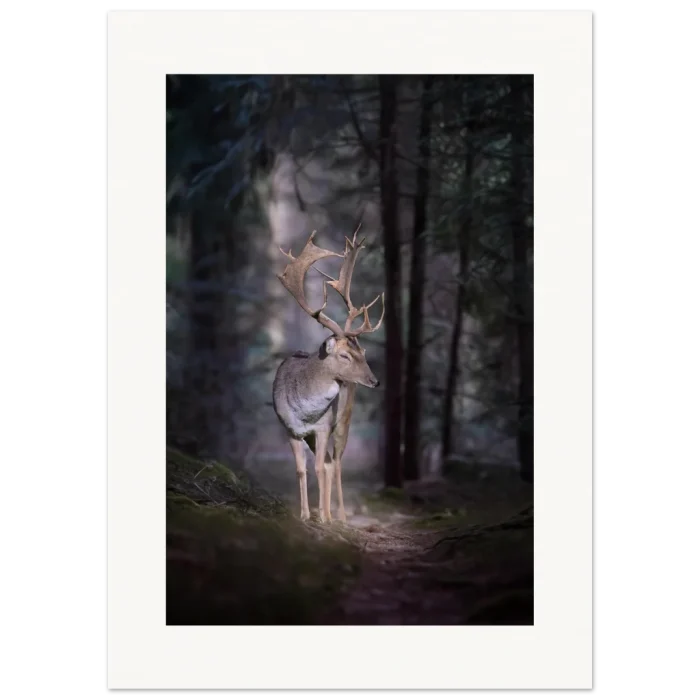 6c67e2bc-0f62-40d1-ac62-17a00c05130e