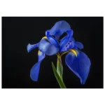 6c96b030-7acd-4314-9c01-620e7afc90f2