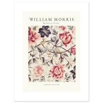 6ce23129-fa59-44db-b7ec-d294cc656bff