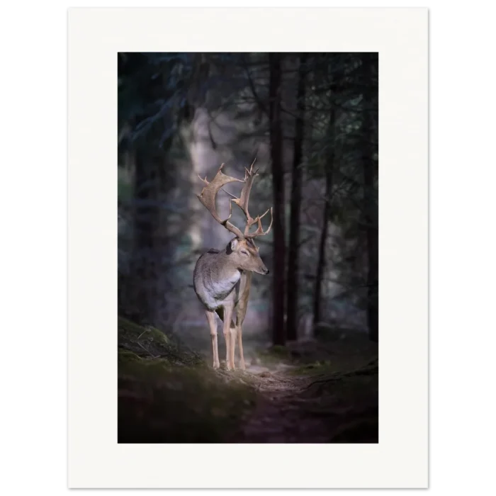 6d138517-9217-4e2b-98a6-29e7605cdc43