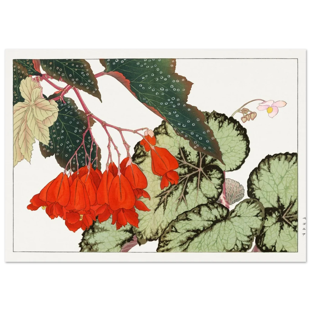 6eee5d7c-5c8d-42af-8cad-91d56af84cb2.webp 6eee5d7c-5c8d-42af-8cad-91d56af84cb2