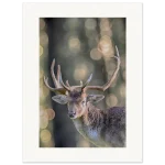 6f1539a4-e9fe-4b39-96f2-757bd90cd06a