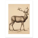 6f38cd03-06af-4716-bca2-23f40cf80ca3