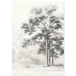 712885a3-2860-4478-97ef-15df05b8ac08