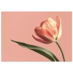 71600d06-6da6-4a17-9cd4-789fd73df08b