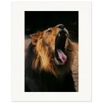 72352cef-e557-4443-bc12-e833b327a4ad