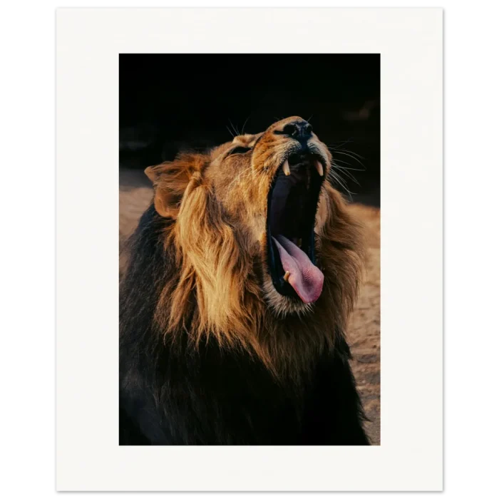 72352cef-e557-4443-bc12-e833b327a4ad