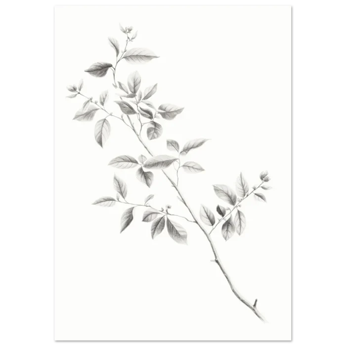 72d69d44-36bc-407c-a35f-2dc924b56bce