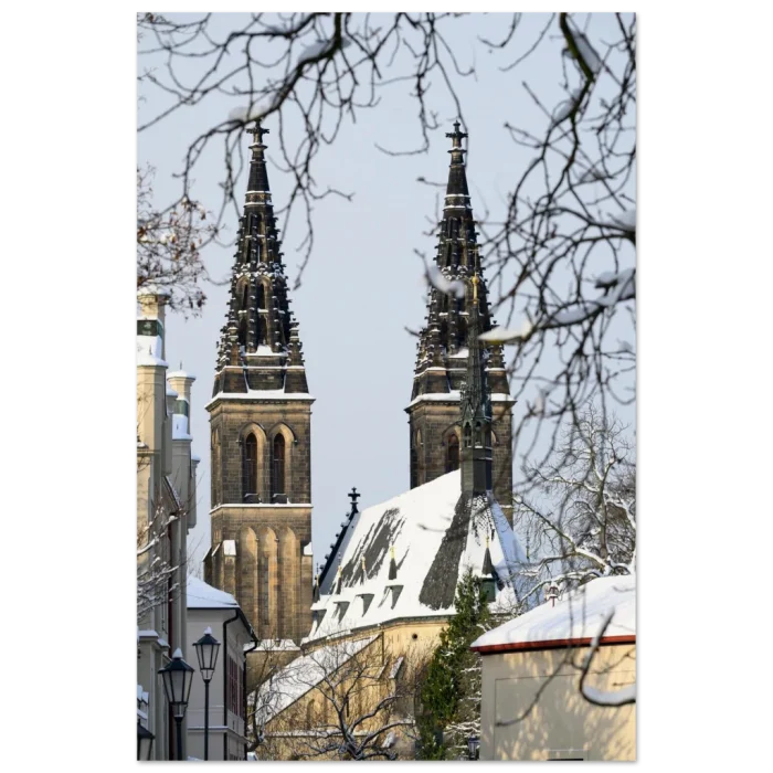 737d1d8e-1f2a-4130-a19f-8507a5c91815