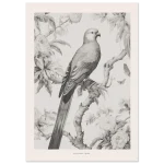 748bbf86-90b9-4c29-bd4e-77d800848f18