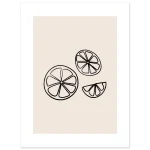 74dd7f71-eed4-43b5-aaf3-101da3b5ad8a