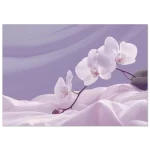 7547bbd2-2347-4c95-8f4e-008e99a6644a