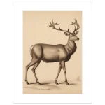 7623178b-4d4a-4d50-af9e-2c9323ea65db