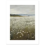 77862559-a8b0-4534-9236-938c438550d0