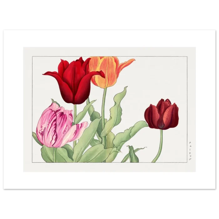 779fc335-afe6-482a-b391-aa2b08918c08