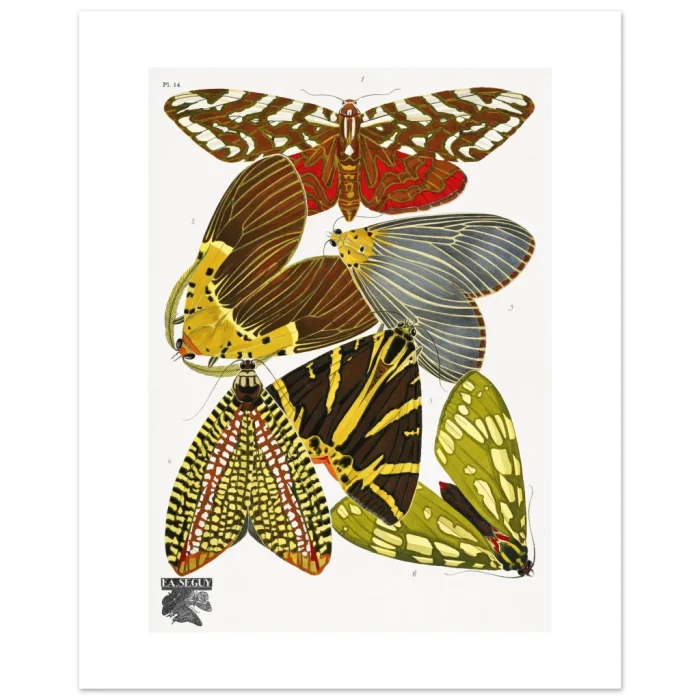 788f8112-526a-4666-9078-39d0e87e9978