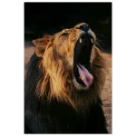 78d7c0e7-07f0-4867-979c-2894b89b4e51