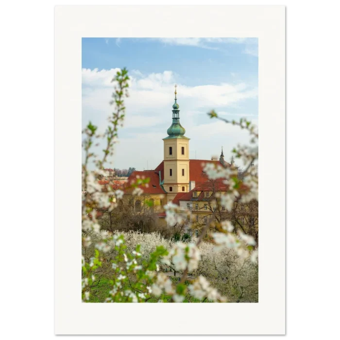 795399a5-88d2-400f-967b-5d790a5496cd