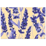 79814053-192d-40b1-a50c-a33e9e21bca2