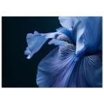 79b1eaf9-ed44-4a34-9327-07799d516367