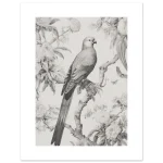 7a469aa7-39ab-4b8e-8e85-442b62df882f