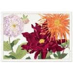 7b73f489-8c2a-4666-807a-44a70abb130a