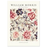 7c8eafd2-7924-4e48-86d4-7db1e18a2457