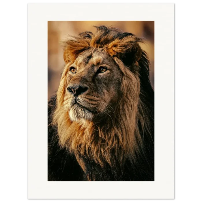 7d752111-586e-4deb-b66f-846a977336e6