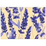 7d75481d-cccd-4463-9105-9757afca1e2d