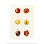 7ddb483f-d56a-4a2f-b7d4-305caa802d97