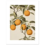 7de88be7-ac3b-4485-bf6e-9f4b32a6417a