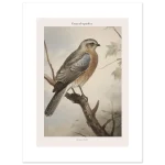 7eaa8664-5fff-4e8f-826d-d389fa4eec3e