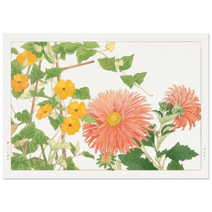 80941c9e-4410-4b55-a428-dd3b52b23f2a