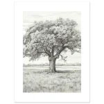 80f5b5c5-13e6-4e13-b3a7-4198c04156df